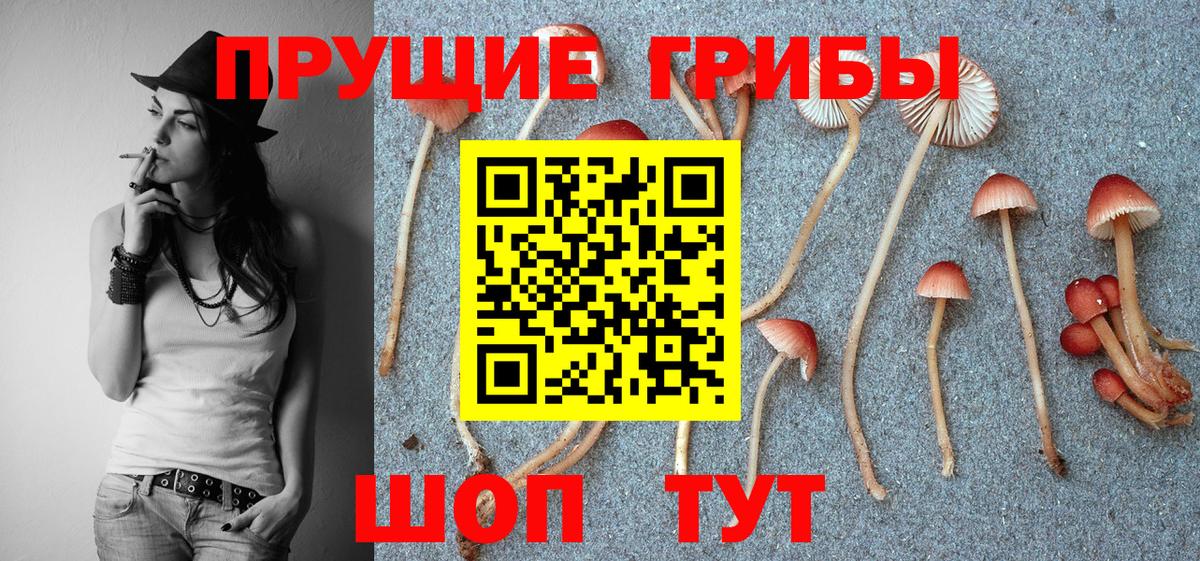 Псилоцибиновые грибы мицелий  Вход с VPN  Ялта 